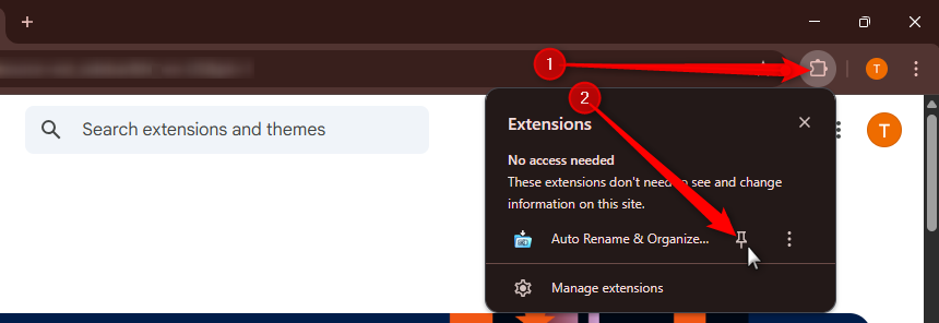 How to pin the extension